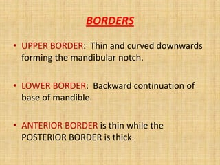 BORDERS
• UPPER BORDER: Thin and curved downwards
forming the mandibular notch.
• LOWER BORDER: Backward continuation of
base of mandible.
• ANTERIOR BORDER is thin while the
POSTERIOR BORDER is thick.
 