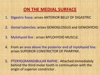 1. Digastric fossa: arises ANTERIOR BELLY OF DIGASTRIC
2. Genial tubercles: arises GENIOGLOSSUS and GENIOHYOID.
3. Mylohyoid line : arises MYLOHYOID MUSCLE.
4. From an area above the posterior end of mylohyoid line:
arises SUPERIOR CONSTRICTOR OF PHARYNX.
5. PTERYGOMANDIBULAR RAPHE: Attached immediately
behind the third molar tooth in continuation with the
origin of superior constrictor .
ON THE MEDIAL SURFACE
 