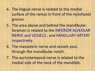 4. The lingual nerve is related to the medial
surface of the ramus in front of the mylohyoid
groove.
5. The area above and behind the mandibular
foramen is related to the INFERIOR ALVEOLAR
NERVE and VESSELS ; and MAXILLARY ARTERY
respectively.
6. The masseteric nerve and vessels pass
through the mandibular notch.
7. The auricotemporal nerve is related to the
medial side of the neck of the mandible.
 