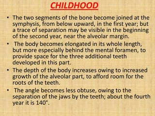 CHILDHOOD
• The two segments of the bone become joined at the
symphysis, from below upward, in the first year; but
a trace of separation may be visible in the beginning
of the second year, near the alveolar margin.
• The body becomes elongated in its whole length,
but more especially behind the mental foramen, to
provide space for the three additional teeth
developed in this part.
• The depth of the body increases owing to increased
growth of the alveolar part, to afford room for the
roots of the teeth.
• The angle becomes less obtuse, owing to the
separation of the jaws by the teeth; about the fourth
year it is 140°.
 