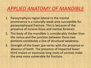 APPLIED ANATOMY OF MANDIBLE
1. Parasymphysis region lateral to the mental
prominence is a naturally weak area susceptible for
parasymphyseal fracture. This is because of the
presence of incisive fossa and mental foramen.
2. The body of the mandible is considerably thicker than
the ramus and the junction between these two
portions constitutes a line of structural weakness.
3. Strength of the lower jaw varies with the presence or
absence of teeth. The presence of impacted lower
third molars or excessive long roots of canines make
the area more vulnerable for fracture.
 