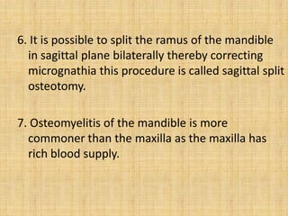6. It is possible to split the ramus of the mandible
in sagittal plane bilaterally thereby correcting
micrognathia this procedure is called sagittal split
osteotomy.
7. Osteomyelitis of the mandible is more
commoner than the maxilla as the maxilla has
rich blood supply.
 