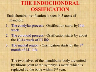 THE ENDOCHONDRAL
OSSIFICATION
Endochondral ossification is seen in 3 areas of
mandible:
1. The condylar process:- Ossification starts by14th
week.
2. The coronoid process:- Ossification starts by about
the 10-14 week of IU life.
3. The mental region:- Ossification starts by the 7th
month of I.U. life.
The two halves of the mandibular body are united
by fibrous joint at the symphysis menti which is
replaced by the bone within 2nd year.
 