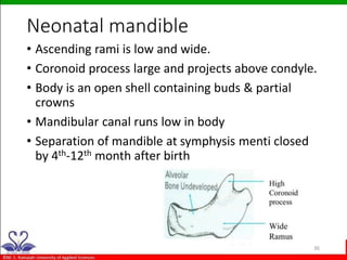 growth and development of Mandible | PPTX
