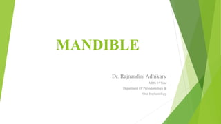 MANDIBLE
Dr. Rajnandini Adhikary
MDS 1st Year
Department Of Periodontology &
Oral Implantology
 
