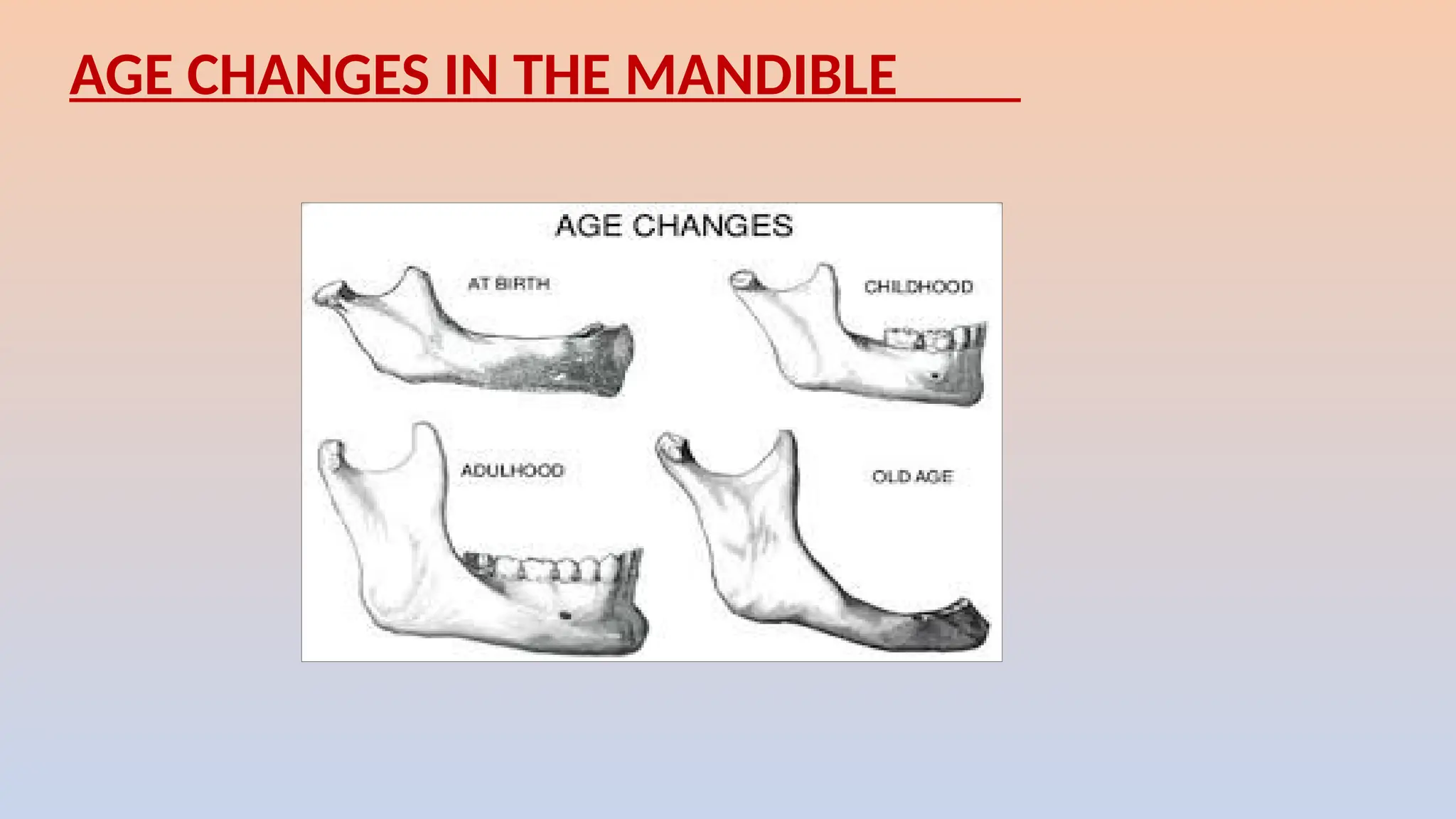 AGE CHANGES IN THE MANDIBLE
 