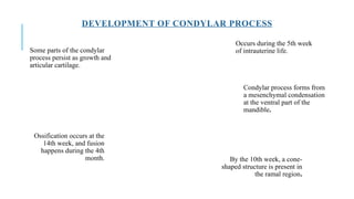 Condyolid Process Structural and Functional Overview of the Human Mandible: Anatomy ...