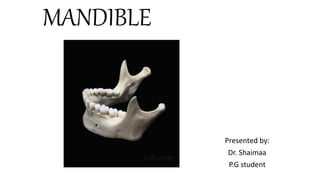 MANDIBLE
Presented by:
Dr. Shaimaa
P.G student
 