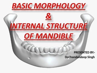 Mandule mandible anatomy- anatomy- anatomy- anatomy.pptx