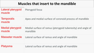 Muscles that insert to the mandible
Lateral pterygoid
muscle
Pterygoid fossa
Temporalis
muscle
Apex and medial surface of coronoid process of mandible
Medial pterygoid
muscle
Medial surface of ramus (pterygoid tuberosity) and angle of
mandible
Masseter muscle Lateral surface of ramus and angle of mandible
Platysma Lateral surface of ramus and angle of mandible
 