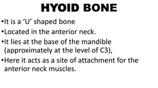 HYOID BONE
•It is a ‘U’ shaped bone
•Located in the anterior neck.
•It lies at the base of the mandible
(approximately at the level of C3),
•Here it acts as a site of attachment for the
anterior neck muscles.
 