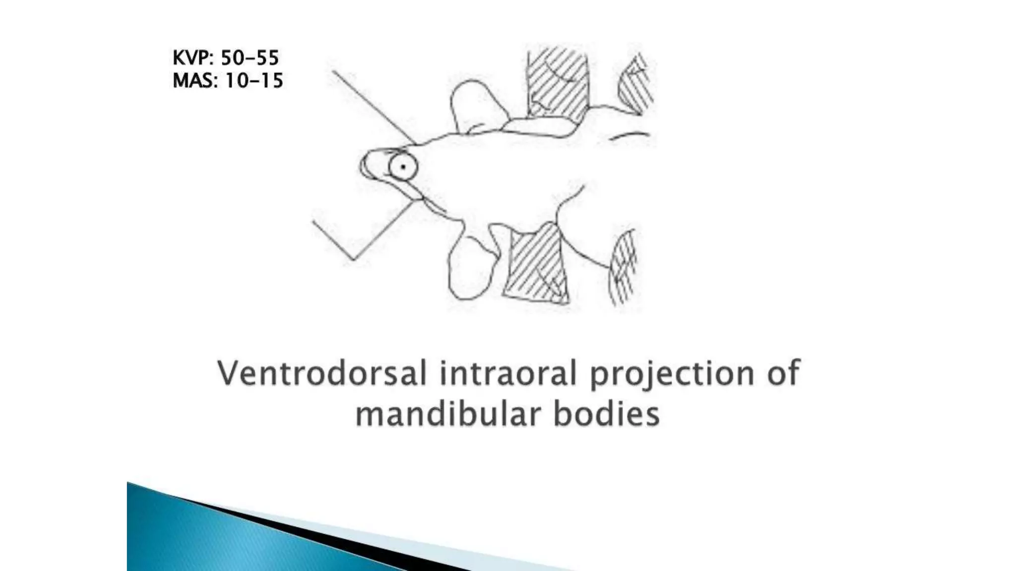 Radiology Canine mandible dental arcade.pptx