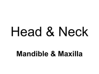 Head & Neck
Mandible & Maxilla
 