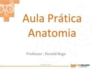 Aula Prática
Anatomia
Professor : Ronald Rega
Criado por Tailise
 