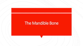 The MandibleBone
 