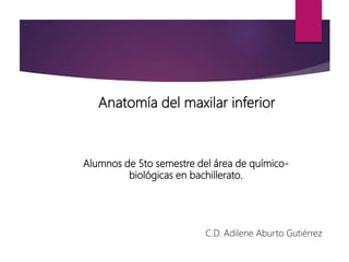 Alumnos de 5to semestre del área de químico-
biológicas en bachillerato.
Anatomía del maxilar inferior
C.D. Adilene Aburto Gutiérrez
 