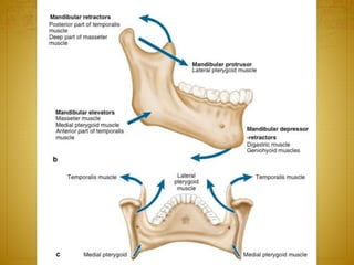 27-04-2016 Mandibular Fractures 11
 