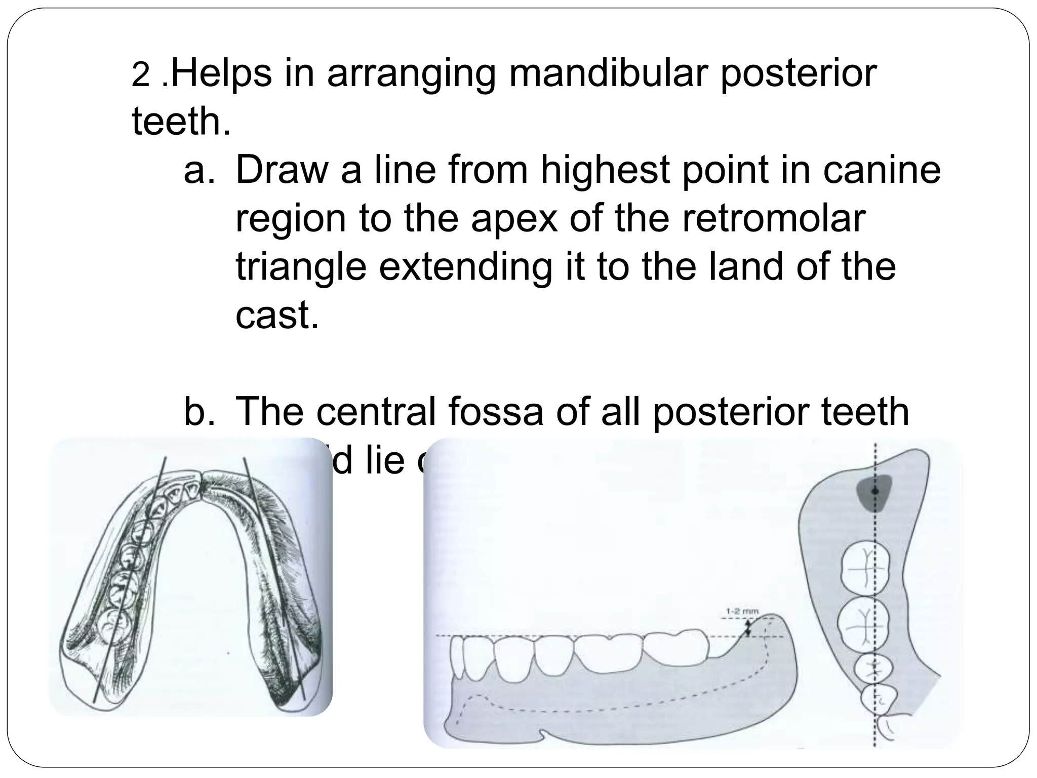 MANDIBULAR ANATOMICAL LANDMARK APOORWA - Copy - Copy.pptx