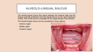 ALVEOLO-LINGUAL SULCUS
The alveolo-lingual sulcus (the space between the residual ridge and the
tongue) extends posteriorly from the lingual frenum to the retro-mylohyoid
curtain. Part of this sulcus is available for the lingual flange of the denture.
The alveolo-lingual sulcus can be considered in three regions:
• Anterior region
• Middle region
• Posterior region
 