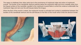 The region is shallower than other parts due to the prominence of mylohyoid ridge and action of mylohyoid
muscle. The border of the mandibular denture extends below the mylohyoid ridge and turns medially away from
the lingual surface of the mandible; parallel to the mylohyoid muscle fibers to avoid the undercut underneath the
mylohyoid ridge and rest over the soft tissues below the tongue.
When the floor of the mouth is raised, the mylohyoid muscle is activated and contact is established between the
borders of the mandibular denture and the soft tissues on the floor of the mouth which limits the denture border.
 