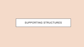 SUPPORTING STRUCTURES
 