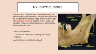 MYLOHYOID RIDGE
The mylohyoid ridge is a bony prominence along the
lingual aspect of the mandible. Soft tissue usually hides
the sharpness of mylohyoid ridge. Anteriorly, this ridge
with mylohyoid muscle is close to inferior surface of
mandible. Posteriorly, after resorption, it often flushes
with the residual ridge.
Clinical consideration:
• The mucous membrane overlying the sharp or
irregular
mylohyoid ridge needs to be relieved.
 