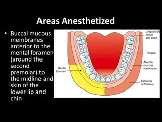 Areas Anesthetized
• Buccal mucous
membranes
anterior to the
mental foramen
(around the
second
premolar) to
the midline an...