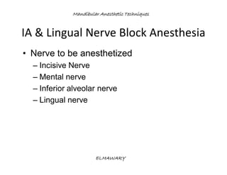 Mandibular anesthetic techniques | PDF