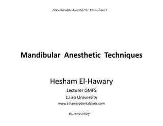 Mandibular Anesthetic Techniques




Mandibular Anesthetic Techniques


       Hesham El-Hawary
               Lecturer OMFS
               Cairo University
           www.elhawarydentalclinic.com

                 ELHAWARY
 