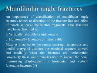 An importance of classification of mandibular angle
fractures relates to direction of the fracture line and effect
of muscle action on the fracture fragments. Thus, fractures
have been classified as:
a. Vertically favorable or unfavorable
b. Horizontally favorable or unfavorable
Muscles attached to the ramus masseter, temporalis and
medial pterygoid displace the proximal segment upward
and medially when the fractures are unfavorable;
conversely these same muscles tend to impact the bone,
minimizing displacement in horizontal and vertical
favorable fractures (4)
 