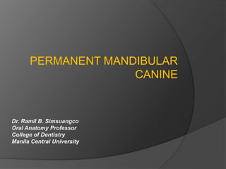 PERMANENT MANDIBULAR 
CANINE 
Dr. Ramil B. Simsuangco 
Oral Anatomy Professor 
College of Dentistry 
Manila Central University 
 