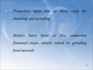 • Premolars have two or three cusp for
shearing and grinding.
• Molars have three to five somewhat
flattened cusps, ideally suited for grinding
food morsels
11
 