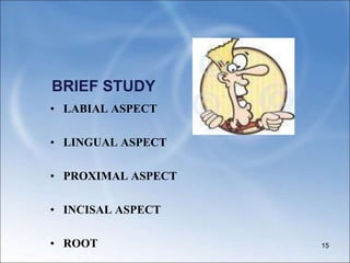 BRIEF STUDY
• LABIAL ASPECT
• LINGUAL ASPECT
• PROXIMAL ASPECT
• INCISAL ASPECT
• ROOT 15
 