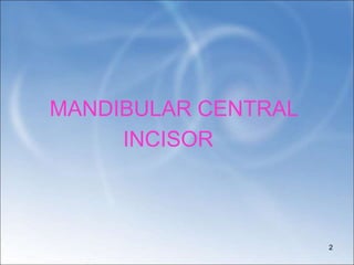 MANDIBULAR CENTRAL
INCISOR
2
 
