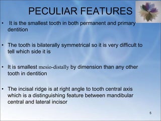 PECULIAR FEATURES
• It is the smallest tooth in both permanent and primary
dentition
• The tooth is bilaterally symmetrical so it is very difficult to
tell which side it is
• It is smallest mesio-distally by dimension than any other
tooth in dentition
• The incisal ridge is at right angle to tooth central axis
which is a distinguishing feature between mandibular
central and lateral incisor
5
 