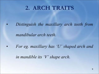 2. ARCH TRAITS
• Distinguish the maxillary arch teeth from
mandibular arch teeth.
• For eg. maxillary has ‘U’ shaped arch and
in mandible its ‘V’ shape arch.
9
 