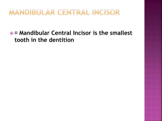  Mandibular Central Incisor is the smallest
tooth in the dentition
 