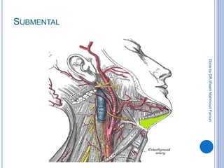 Submentral Mandibular facsial spaces | PPTX