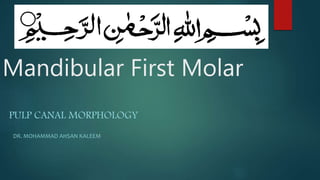 Mandibular First Molar
PULP CANAL MORPHOLOGY
DR. MOHAMMAD AHSAN KALEEM
 