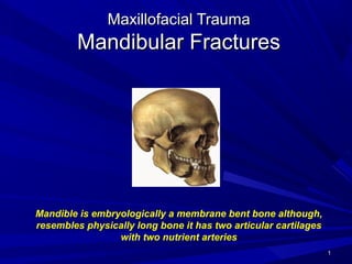 11
Maxillofacial TraumaMaxillofacial Trauma
Mandibular FracturesMandibular Fractures
Mandible is embryologically a membrane bent bone although,
resembles physically long bone it has two articular cartilages
with two nutrient arteries
 