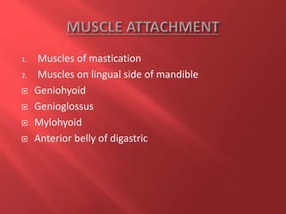 1. Muscles of mastication
2. Muscles on lingual side of mandible
 Geniohyoid
 Genioglossus
 Mylohyoid
 Anterior belly of digastric
 
