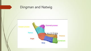 Dingman and Natwig
 