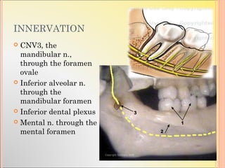 Cnv3 Course Mandibular fractures | PPT
