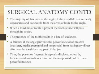 SURGICAL ANATOMY CONTD
• The majority of fractures at the angle of the mandible run vertically
downwards and backwards from the alveolar bone to the angle.
• When a third molar tooth is present the fracture line will pass
through its socket.
• The presence of the tooth results in a line of weakness.
• A fracture at the angle prevents the powerful elevator muscles
(masseter, medial pterygoid and temporalis) from having any direct
effect on the tooth-bearing part of the jaw.
• Thus, the posterior fragment is typically displaced upwards,
forwards and inwards as a result of the unopposed pull of these
powerful muscles.
 