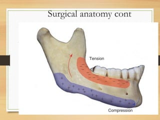 Surgical anatomy cont
 