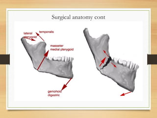 Surgical anatomy cont
 