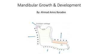 Mandibular Growth & Development
By: Ahmad Amro Baradee
 