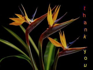 MANDIBULAR IMPACTIONS 1.ppt