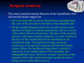 Surgical anatomy
The main external osseous features of the mandibular first
and second molar region are
the very thick roll of convex lateral bone extending from
the crest of the alveolus to the base of the mandible and
On the medial (lingual) aspect the alveolar process area
declines in height as it passes posteriorly, and it is convex
with a thick roll of cortical bone. The base of the alveolar
process, with many normal variations, is in the vicinity of
the level of the mylohyoid muscle attachment to the
mylohyoid ridge. The mylohyoid ridge continues
posteriorly in an upward sweep toward the third molar
region. Below the mylohyoid ridge there is usually a
concavity in the medial aspect of the mandible, the
submandibular fossa. However, normal variations of the
anatomy below the mylohyoid ridge include the area’s
being convex rather than concave.
 