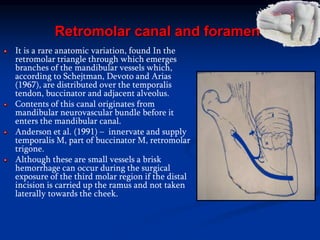 Retromolar canal and foramen
It is a rare anatomic variation, found In the
retromolar triangle through which emerges
branches of the mandibular vessels which,
according to Schejtman, Devoto and Arias
(1967), are distributed over the temporalis
tendon, buccinator and adjacent alveolus.
Contents of this canal originates from
mandibular neurovascular bundle before it
enters the mandibular canal.
Anderson et al. (1991) – innervate and supply
temporalis M, part of buccinator M, retromolar
trigone.
Although these are small vessels a brisk
hemorrhage can occur during the surgical
exposure of the third molar region if the distal
incision is carried up the ramus and not taken
laterally towards the cheek.
 